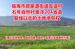 临海市邵家渡街道友谊村石年自然村里洋204省道复线以北的土地承包权